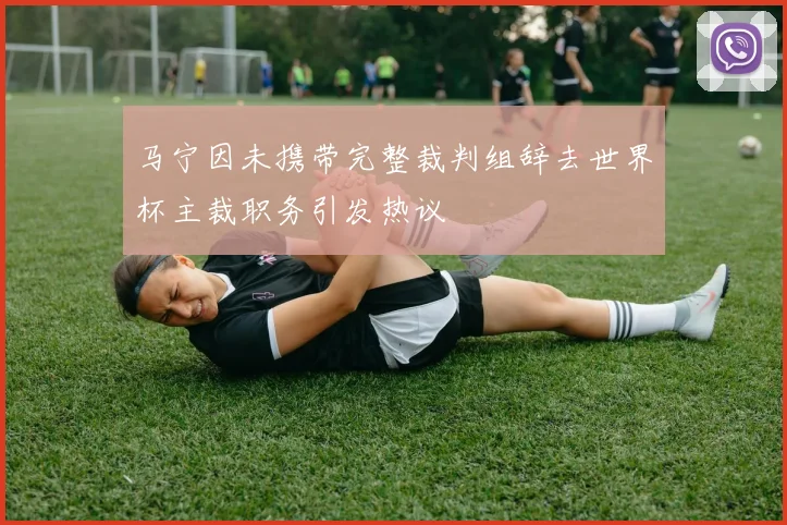 马宁因未携带完整裁判组辞去世界杯主裁职务引发热议
