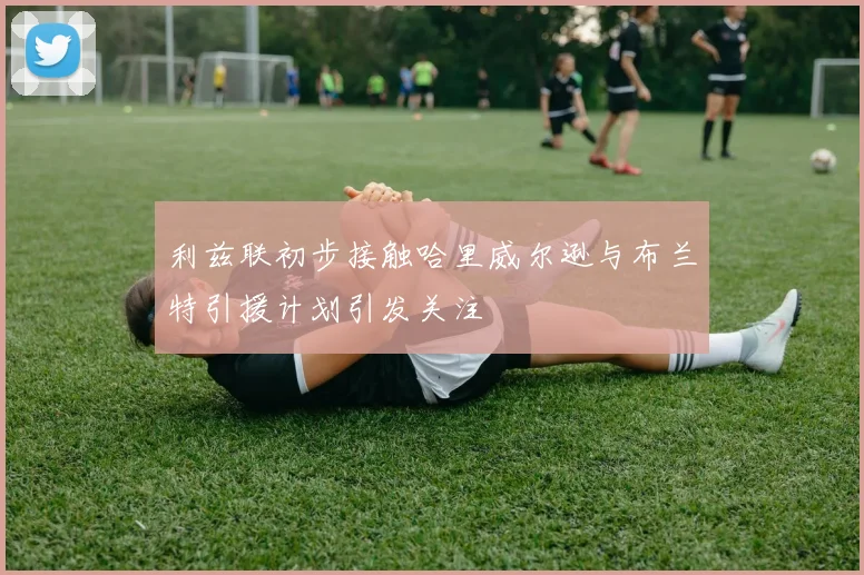 利兹联初步接触哈里威尔逊与布兰特引援计划引发关注